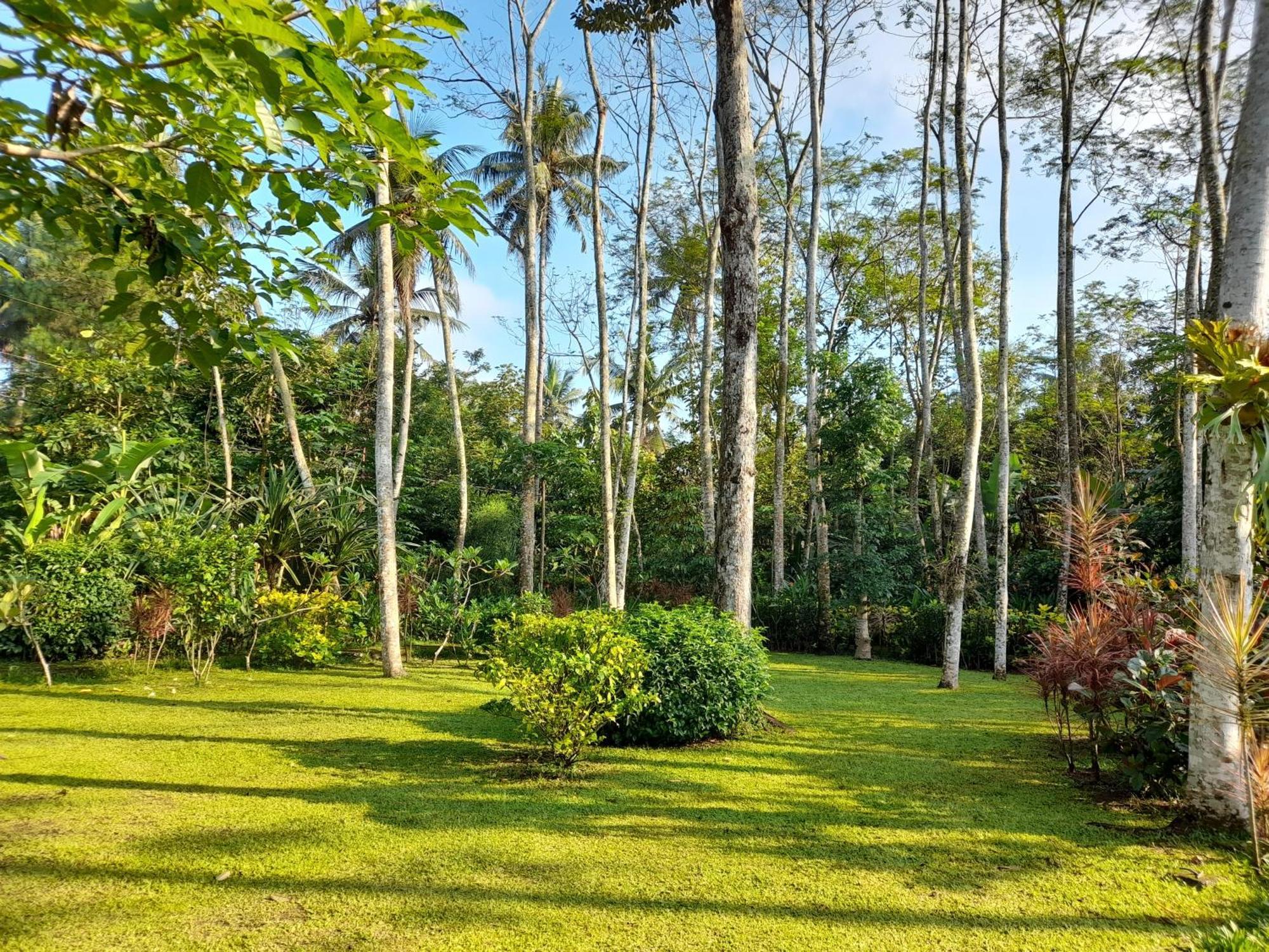 Ndalem Nitihardjan Hotel Magelang Buitenkant foto